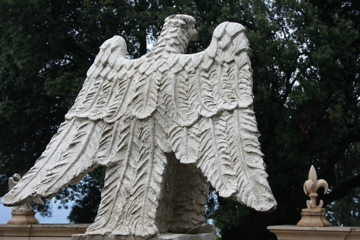IMG_2454.JPG