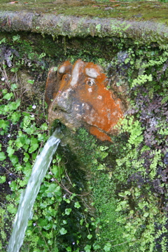 IMG_2415.JPG