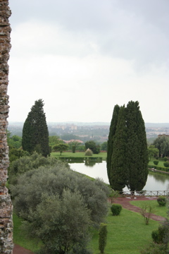 IMG_2493.JPG