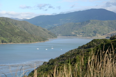 Baie