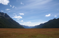 Prairie