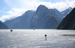 Milford Sound