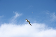IMG_4003